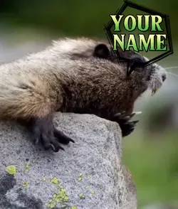TEMPLATE TUPAI 