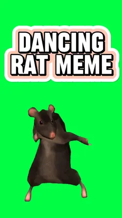 DANCING RAT DANCE