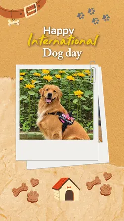 International dogday
