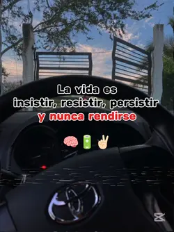 La vida es