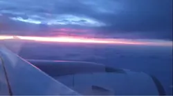 悲しい動画