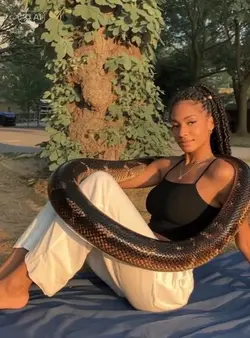 snake climb 