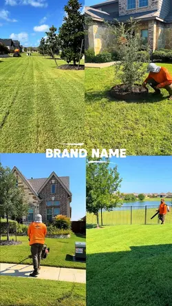 Gardening