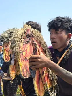 kuda ngamuk