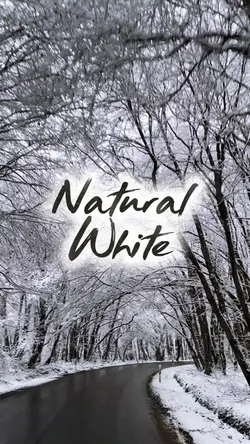 Natural White