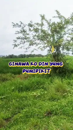 Wala nang tao