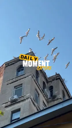 Daily Moment