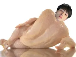 sexy chicken
