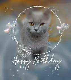 HAPPY BIRTHDAY
