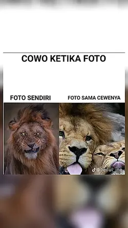 miaw miaw 