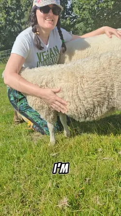 why I'm vegan