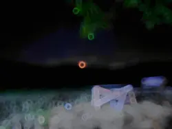 MALAM HARI