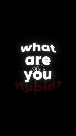 what are you stupid?