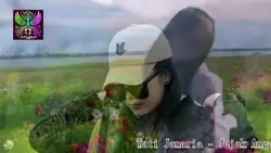 Video gambar double