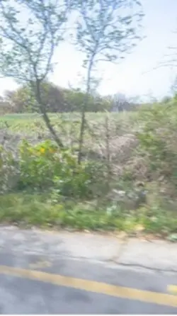 Chalo koi gal nahi
