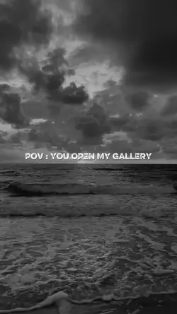 My Gallery 
