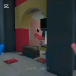 popy plaitam