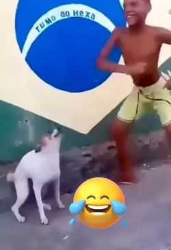 FUNNY DOG x ELIAS