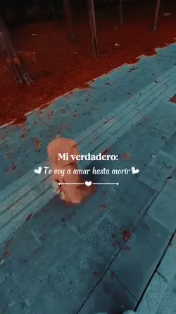 Amar hasta morir