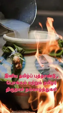 Happy Pongal 2025