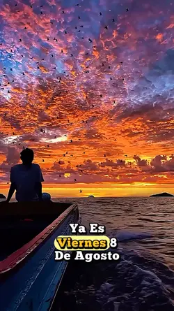 8 de agosto 
