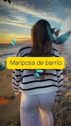 Mariposa de barrio 