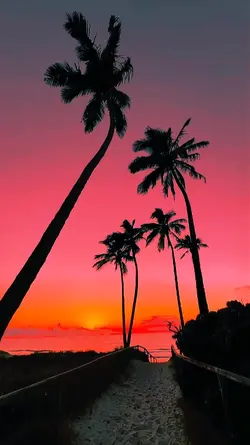 sunset 