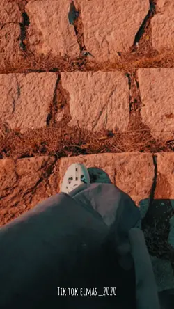 tik tok elmas_2020