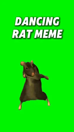 Dancing Rat Meme