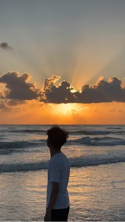 filter senja