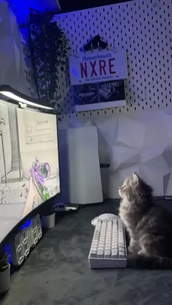 I walk into acrowded