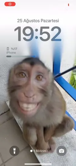 Ekranda fotoğrafın