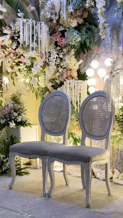 Aesthetic Decor 
