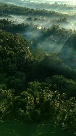 vlog cinematic