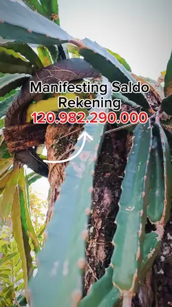Manifesting dulu