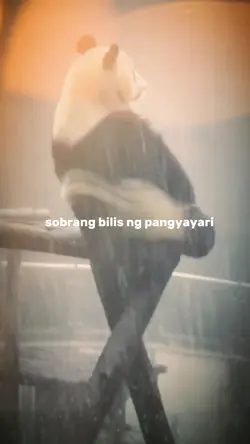 Sobrang bilis