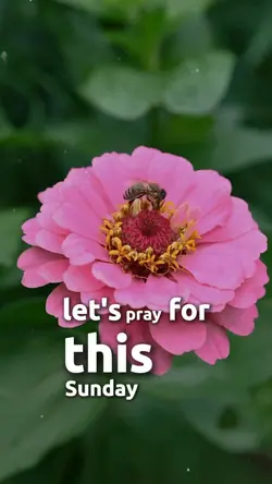 Prayer for sunday