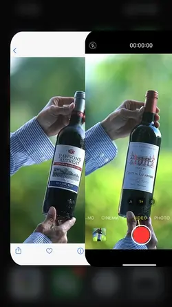 Wine
