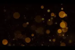 Bonne Année 