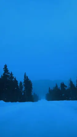 snow in silence