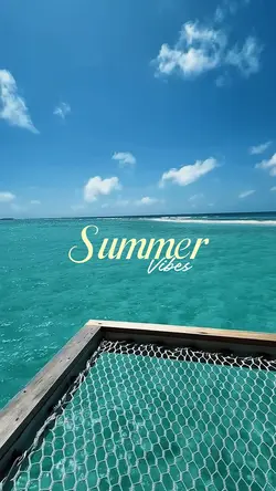 summer vibes