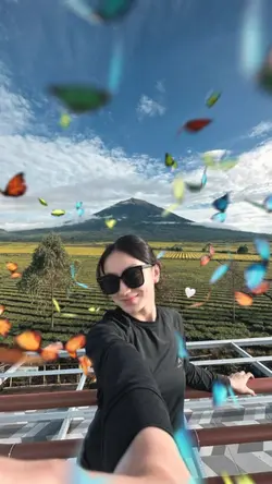 BUTTERFLY EFFECT