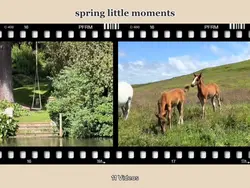 spring little moment