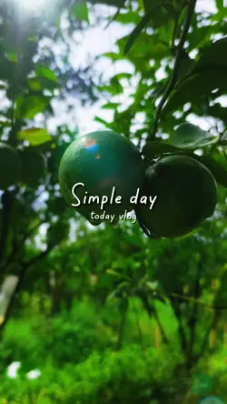 simpleday