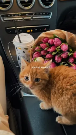 spring mood