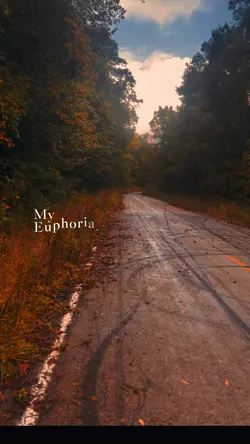 Euphoria 