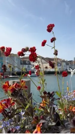 Weymouth harbour