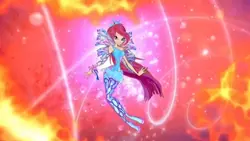 trend winx