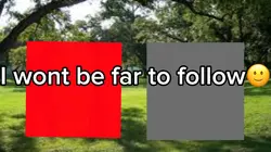 template (: