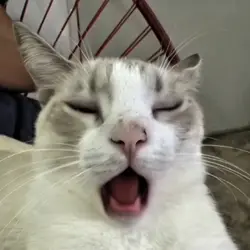 Cat APT-SING Trend